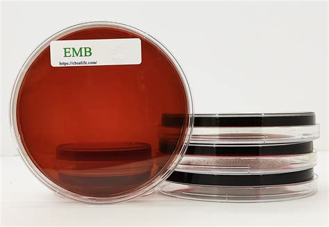 EMB Agar.